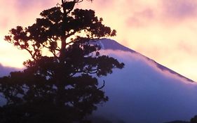 華の宿　ふくや